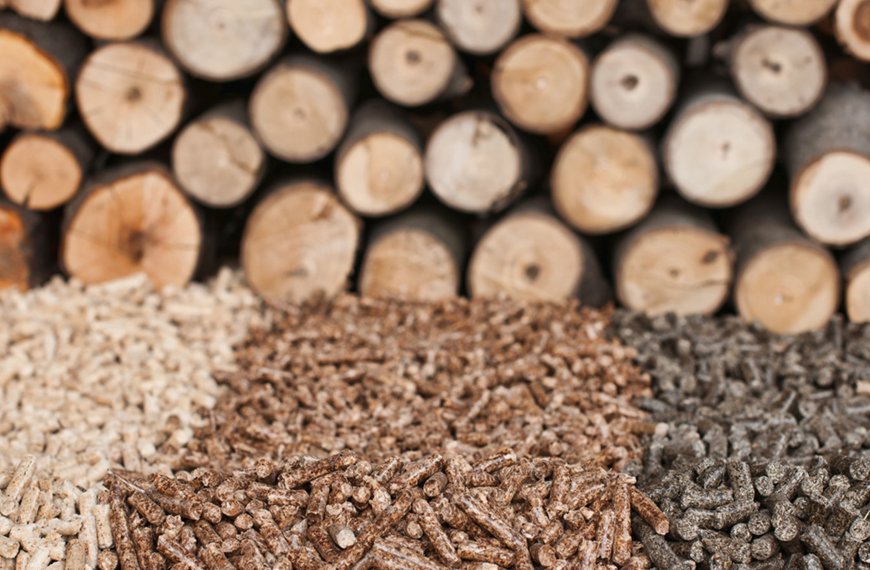 Biomasse: un’opportunità per gli agricoltori italiani
